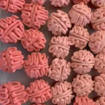 brain cupcakes 2026 07 21 022727 1