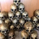 creepy milk jug skulls for halloween decorations 2026 07 23 035932 1