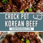 crock pot korean beef 2026 07 23 225326 512x1024 1