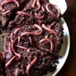 dark chocolate pecan 2026 07 21 022734 681x1024 1