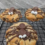spider nyc cookies 2026 07 21 022709 1